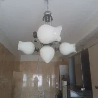 لوستر