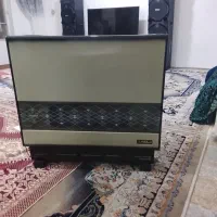 بخاری سالم