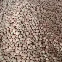 لوبیا آشی محلی 20کیلو به بالا 125ارسال هم دارم|خوردنی و آشامیدنی|ایلام, |دیوار