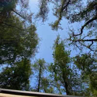 اجاره ویلایی جانبازان پرند