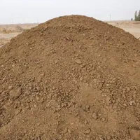 کود گاوی فراوری شده