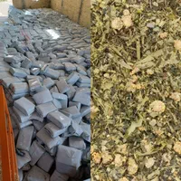 ذرت علوفه ای پر دانه و یونجه پلت