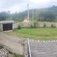 زمین مسکونی در ماکلوان ( رشت)|فروش زمین و ملک کلنگی|ماکلوان, |دیوار