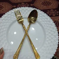 ۶ دست قاشق چنگال خارجی