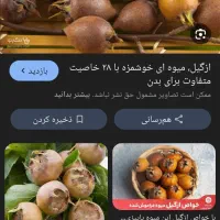 ازگیل وپرتقال شما را به قیمت مناسب خریداریم|خدمات باغبانی و درختکاری|اسالم, |دیوار