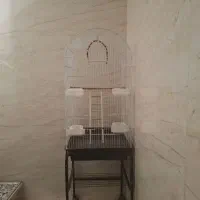 قفس پرنده