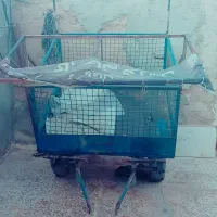 بودی سه چرخه|دوچرخه، اسکیت، اسکوتر|کارون, |دیوار