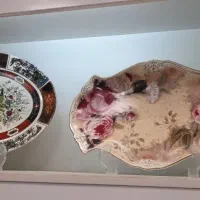 لمونژ و گل مرغی خط طلا