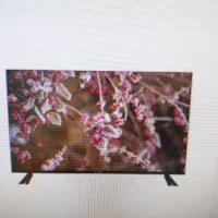 جشنواره طلایی خرید مستقیم از دوو و اسنوا