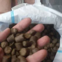 خوراک گوسفند داشتی|حیوانات مزرعه|قم, چهار مردان|دیوار
