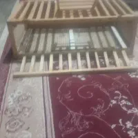 لانه کبوتر|پرنده|باروق, |دیوار