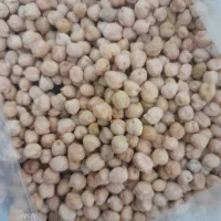 خریدو فروش لوبیا