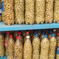 مقداری بار دارم از داراب به اردکان