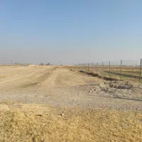 فروش زمین گلخانه8000متری|فروش دفتر صنعتی، کشاورزی، تجاری|خسروشاه, |دیوار