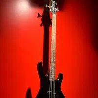 گیتار بیس washburn