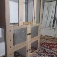 کبوتر روی میخ|پرنده|رفسنجان, |دیوار