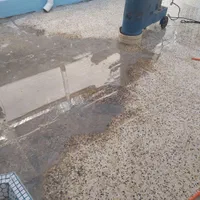 کفسابی کف ساب کف سابی بتون سابی کفساب سنگ سابی|خدمات نظافت|بوشهر, |دیوار