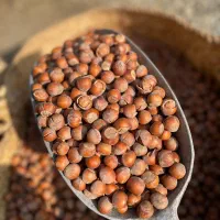 تولیدی فندق و آجیل خشکبار