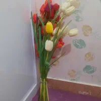 ۵شاخه گل لاله