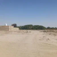 زمین محله پاچنار بلوار حرم راوند