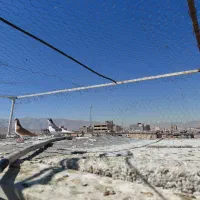 کفتر|پرنده|شیراز, کوشک میدان|دیوار