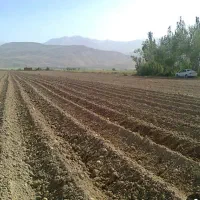 فروش فوری زمین کشاورزی با چاه اب