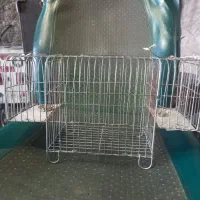 سهره گیر|لوازم جانبی حیوانات|قم, پردیسان|دیوار