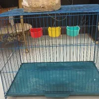 قفش پرنده|لوازم جانبی حیوانات|قرچک, شهرک الحدید|دیوار