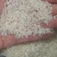 برنج و خرده برنج