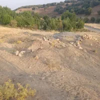 هزار و پانصد متر زمین در بسطام روستای سراب سقا|فروش زمین و ملک کلنگی|الشتر, |دیوار