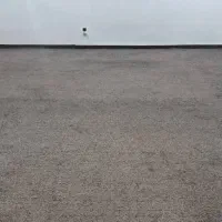 پالاز موکت پرز بلند|موکت|دزفول, |دیوار