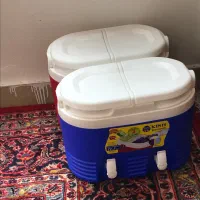 کلمن دو قلو