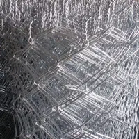 فنس و پایه نو سیم خاردار  و توری مرغی و فرنگی|خدمات باغبانی و درختکاری|مبارکه, |دیوار