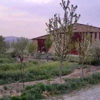 فروش کارخانه تولید رنگ و چسب با سند ششدانگ|فروش دفتر صنعتی، کشاورزی، تجاری|قوچان, |دیوار