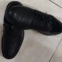 کفش مجلسی در حد نو