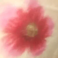 کارت بانکی پیدا شده