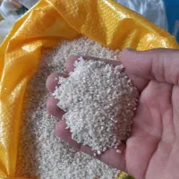 برنج قائم اطمینان درهردانه|عمده‌فروشی|بابلسر, |دیوار