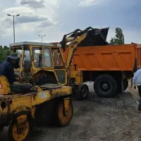 بیل بکهو پرنده