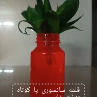 گل طبیعی لطفاً ورق بزنید|گل و گیاه طبیعی|مشهد, هنرور|دیوار