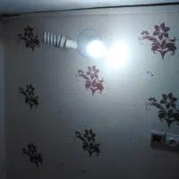 رهن واجاره مغازه|اجارهٔ مغازه و غرفه|بندرعباس, |دیوار