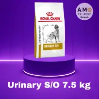 غذای حیوانات خانگی سگو گربه|لوازم جانبی حیوانات|مشهد, احمدآباد|دیوار