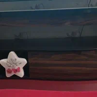 میز تلویزیون در حد نوع تمیز و بدون خط و خش