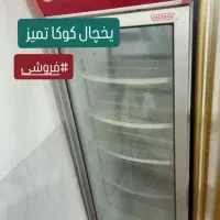 یخچال سالم کم کار