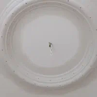 گچ‌ کاری الکه کاری