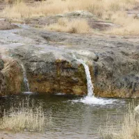 سرایدار مدرسه