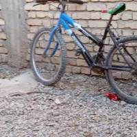 چند  تا مرغ ویک دوچرخه ویک بوقلمون|حیوانات مزرعه|فارسان, |دیوار