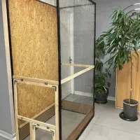 تعدادی پپرنده زینتیی