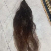 موی طبیعی|آرایشگاه و سالن‌های زیبایی|شوط, |دیوار