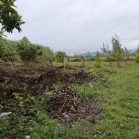 فروش-زمین-1023متری-دارای-ستون-و-چاه-آب-داخل-زمین