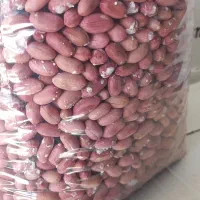 بادام زمینی از تولیدی